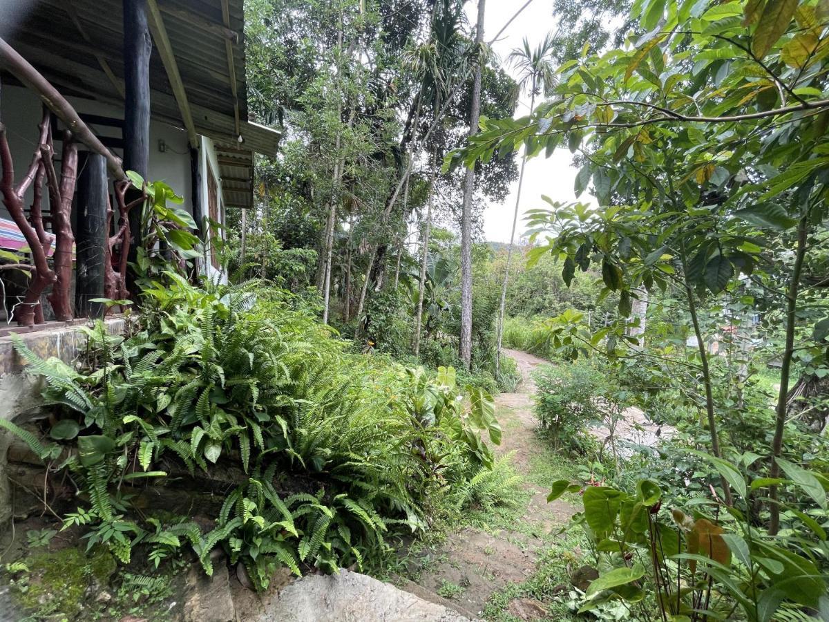 Sri Bhavan Ella Exteriér fotografie