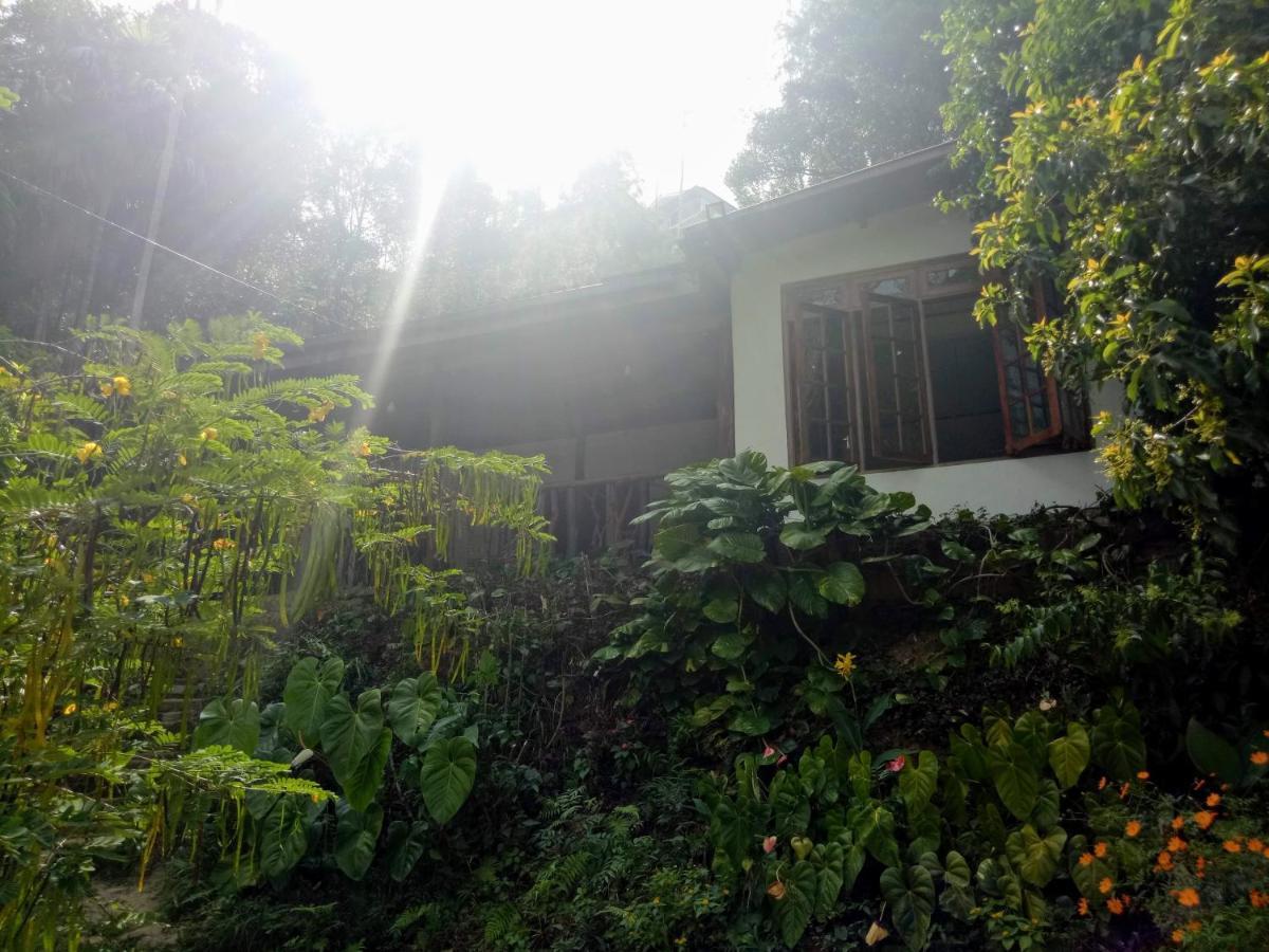 Sri Bhavan Ella Exteriér fotografie